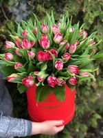 49 тюльпанов шляпной коробочке